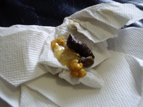 george again 004_resize.jpg