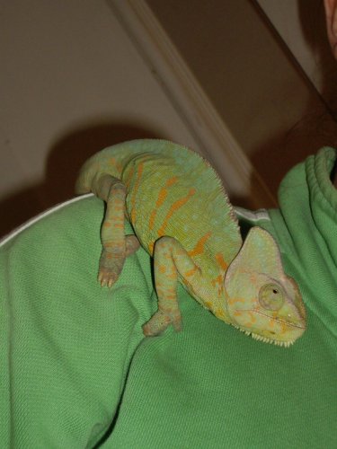 george again 007_resize.jpg