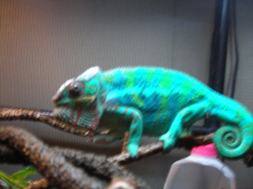 Picture 035.jpg
