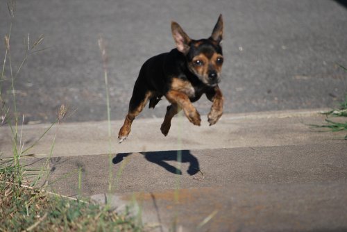 paco and others 072.jpg