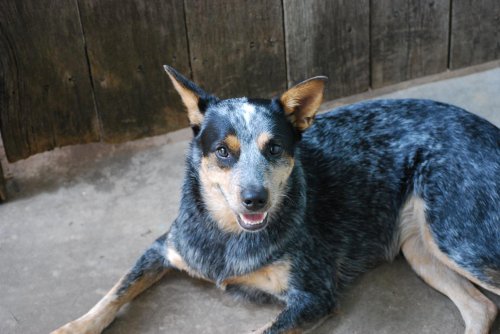 paco and others 051.jpg