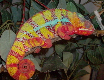 picresized_1221317975_HPIM0480.jpg