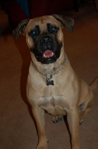 Daisy10-08.jpg