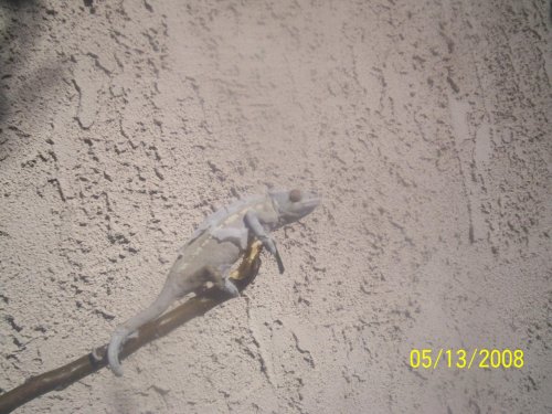 100_2336.jpg