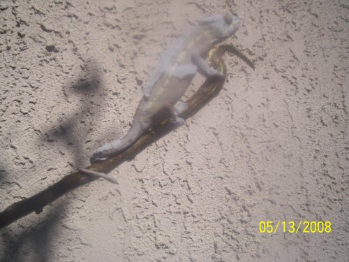100_2330.jpg