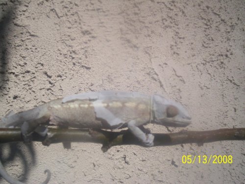 100_2327.jpg
