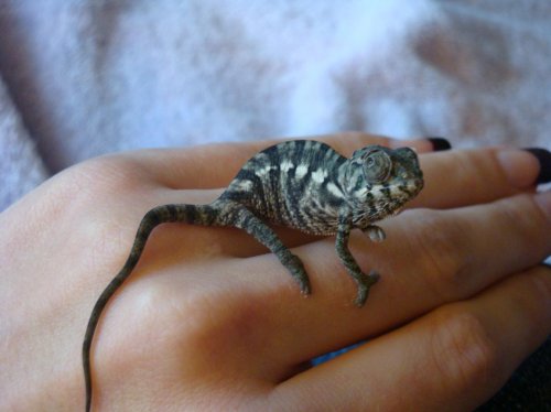 Costume party 042.jpg