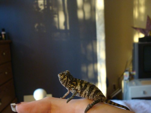 Costume party 043.jpg