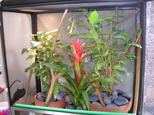 DSCN1255.JPG