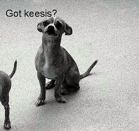 Got Kisses.png