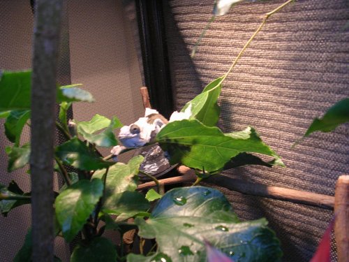DSCN1259.JPG