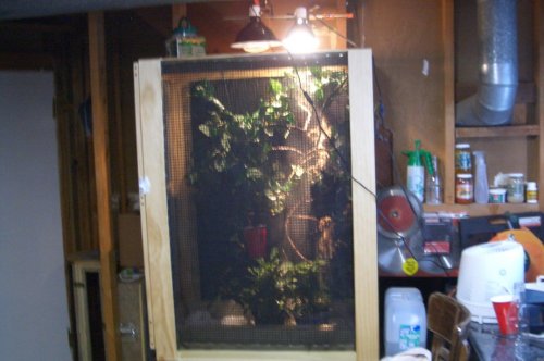 Morken's new setup.jpg Morken's new setup.jpg
