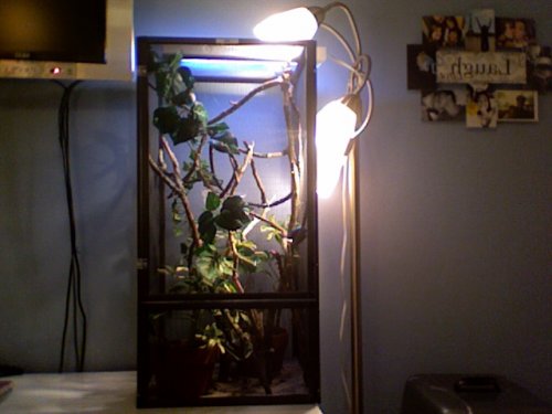 Photo 103.jpg