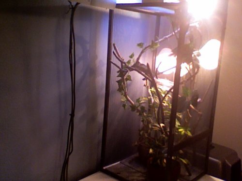 Photo 104.jpg