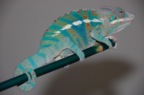 166.jpg