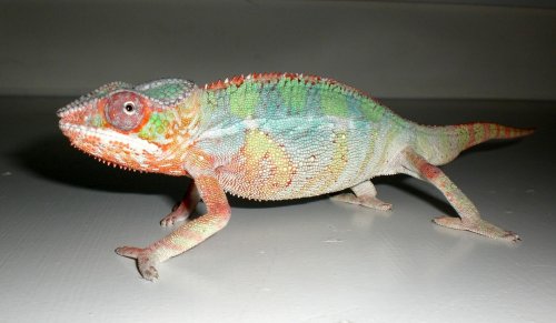 11082008 019.jpg