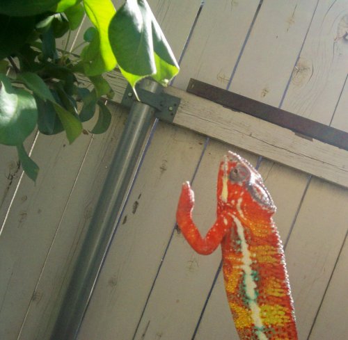 100_2680.jpg