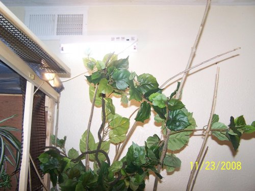 100_2035.jpg