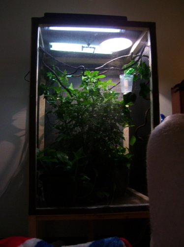 cage setup.jpg cage setup.jpg