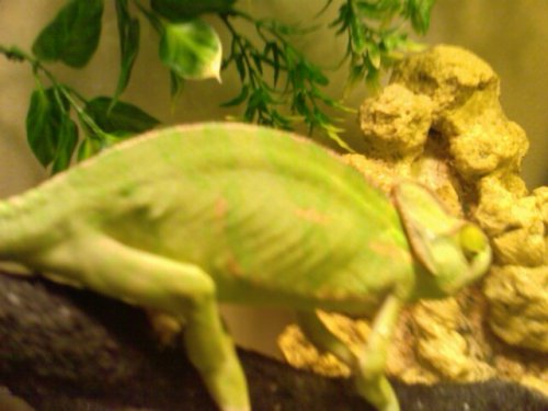 IMAG0282.jpg