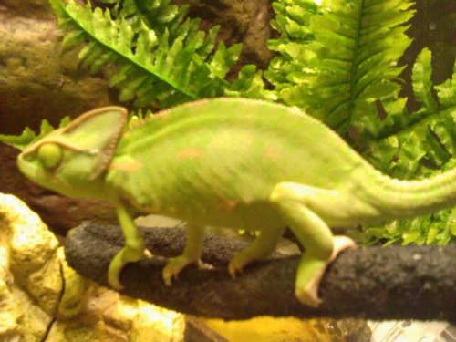 IMAG0286.jpg
