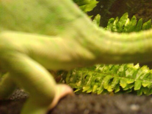 IMAG0283.jpg