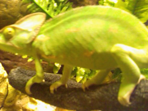 IMAG0284.jpg