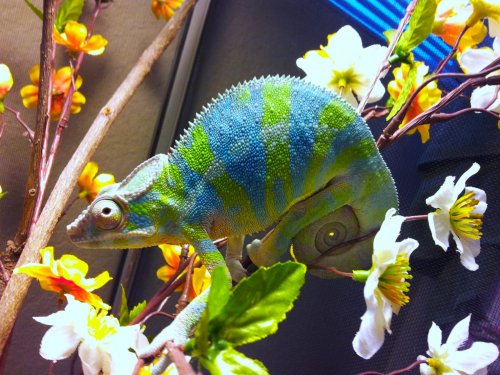 20120429_191159.jpg