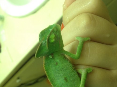 Photo May 01, 11 44 50 AM.jpg