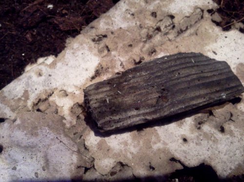 2012-05-01 19.49.52.jpg