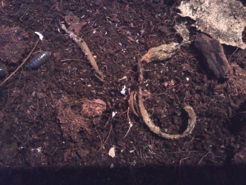 2012-05-01 19.50.28.jpg