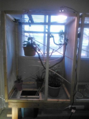 cage9.jpg
