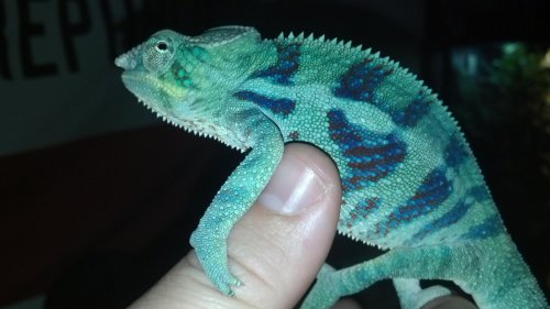 2012-05-02_19-56-34_70.jpg