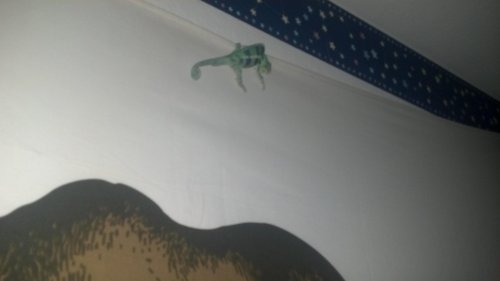 2012-05-02_20-21-01_974.jpg