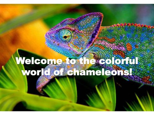 senior project again._Page_01.jpg