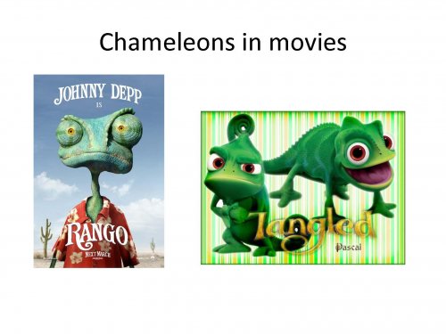 senior project again._Page_02.jpg