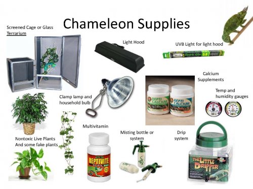 senior project again._Page_04.jpg