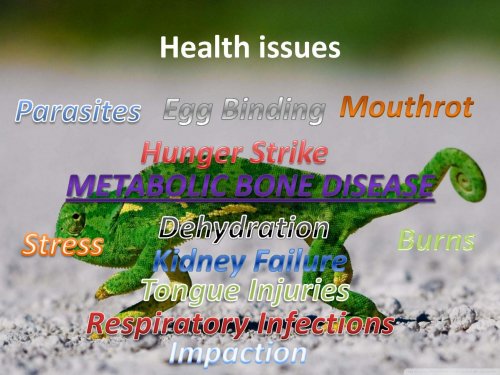 senior project again._Page_08.jpg