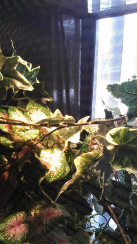 IMAG0246.jpg