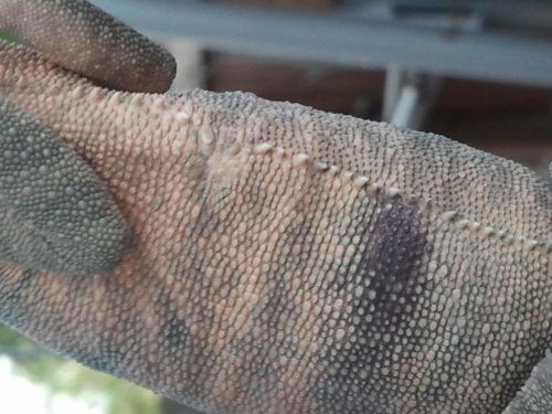 2012-05-03 19.21.10.jpg