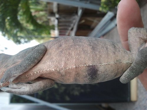 2012-05-03 19.20.55.jpg