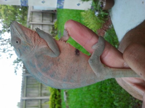 2012-05-03 19.50.01.jpg