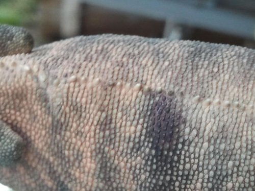 2012-05-03 19.21.22.jpg