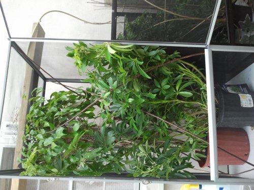 2012-03-07 15.53.35.jpg