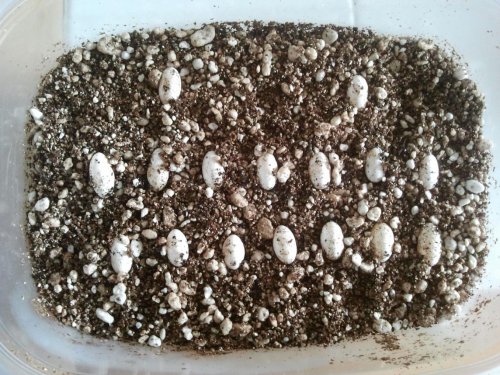 2012-04-28 12.10.24.jpg