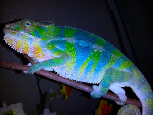 20120414_211129.jpg