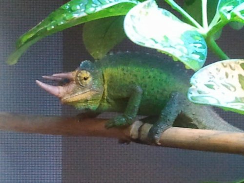 2012-05-04 18.19.57.jpg