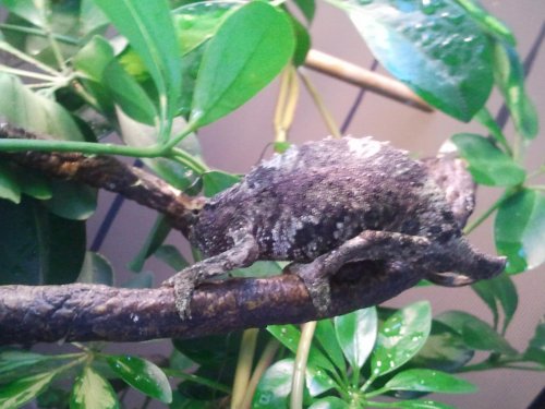 2012-05-05 12.24.20.jpg