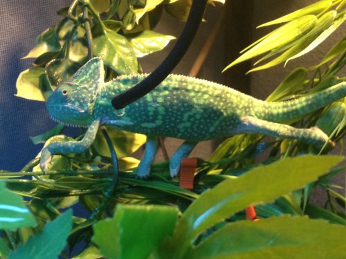 Photo May 06, 1 23 39 PM.jpg