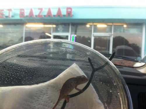 Leaving the store.jpg